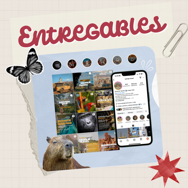 Plan de entregables